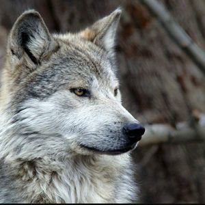 Meet your Posher, Jacqueline